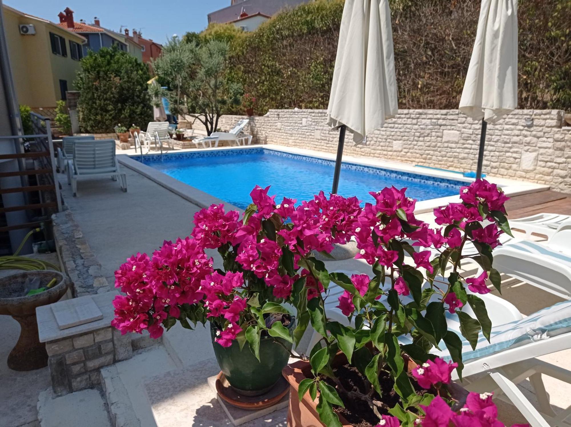 Gregovica 2 Apartman
